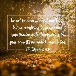 Meet your Posher, Rhoda